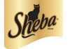 Sheba