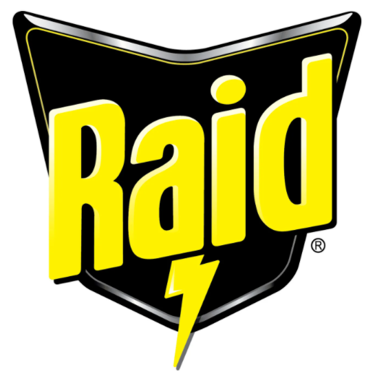 Raid