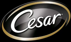 Cesar